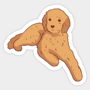 Cute Golden doodle Sticker